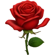 Red rose sticker