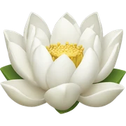 White lotus sticker