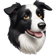 Border Collie sticker