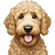 Goldendoodle sticker