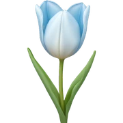 light blue tulip sticker
