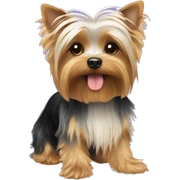 Parti yorkie sticker