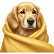 Golden retriever under a blanket sticker
