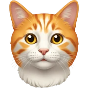 orange-cat sticker