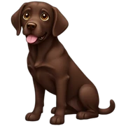chocolate labrador sticker