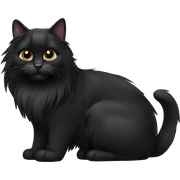 Black long haired cat sticker