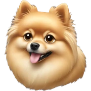 Pomeranian sticker