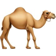 camel sticker
