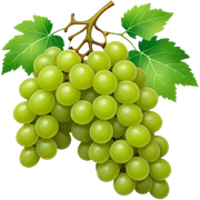 Grapes  sticker