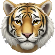 kpop tiger sticker