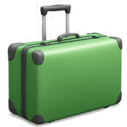 Luggage green sticker