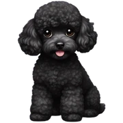 toy poodle black sticker