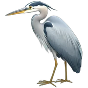 Heron sticker