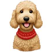 Golden doodle wearing christmas Sweater  sticker
