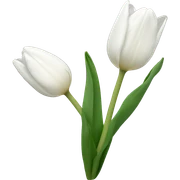 white tulip sticker
