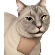 realistic black cat portrait sticker