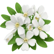 White flowers  sticker