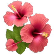 Hibiscus sticker