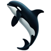 killer whale sticker