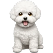 Bichon frise  sticker