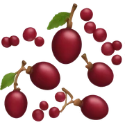Cranberry sticker