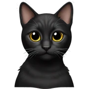 Cat black  sticker