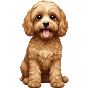 Cavapoo sticker