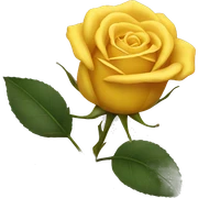 yellow rose sticker