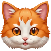 котик sticker