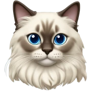Ragdoll sticker