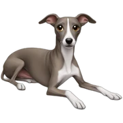 Italian Greyhound sticker
