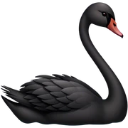 Black swan sticker