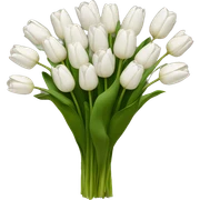 white tulip bouquet  sticker