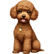 Toy poodle brown sticker