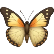 Butterfly  sticker