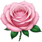 soft pink sticker