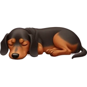 Sleeping dachshund  sticker