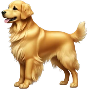 Golden retriever sticker