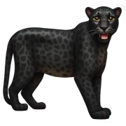 Black leopard sticker