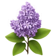 Lilacs flowers sticker