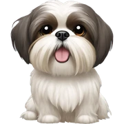 shih tzu sticker