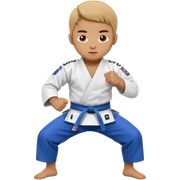 Ju jitsu  sticker