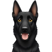 Black German Shepherd sticker