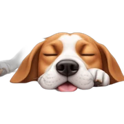 beagle sticking tongue half out while sleeping sticker