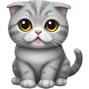 Gray Scottish fold sitting  sticker