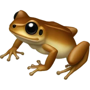Forest Coqui  sticker