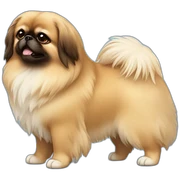 fluffy-pekingese sticker