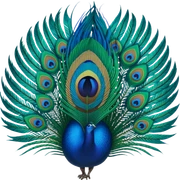 Mor pankh sticker