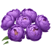 Purple peonies bouquet  sticker