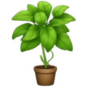 plant sticker